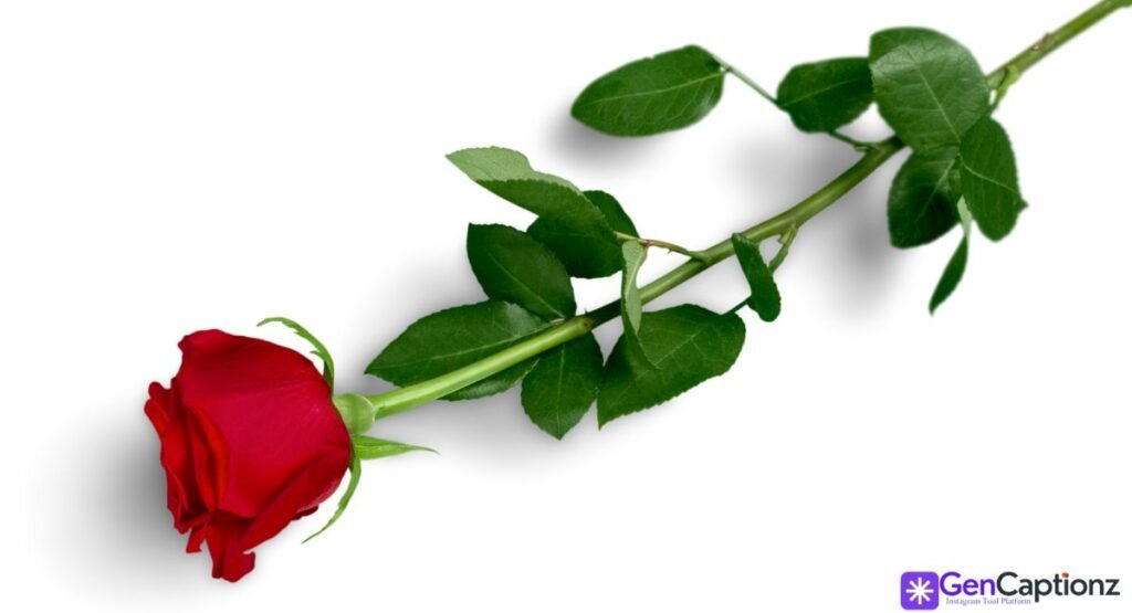 5 Tips for Using Captions Effectively