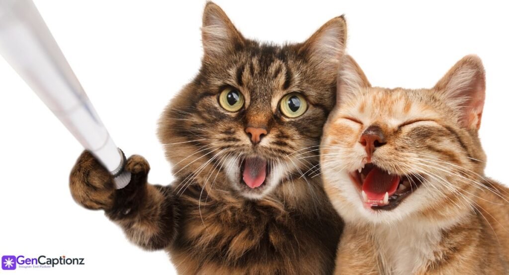 500+ Best Selfie Captions for Instagram 2026: Trends & Viral Ideas