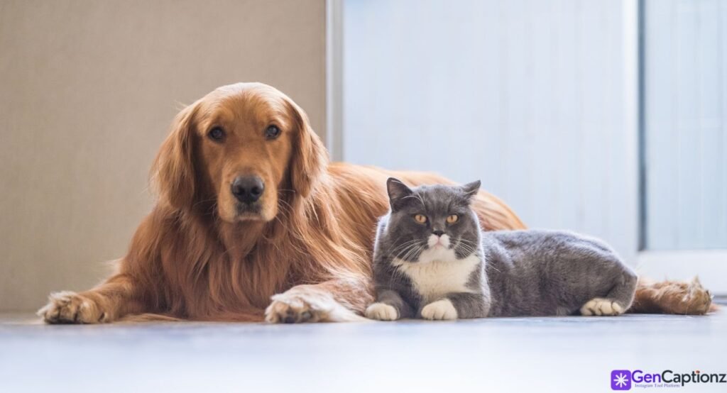 The Ultimate Collection of Best Friend Captions 