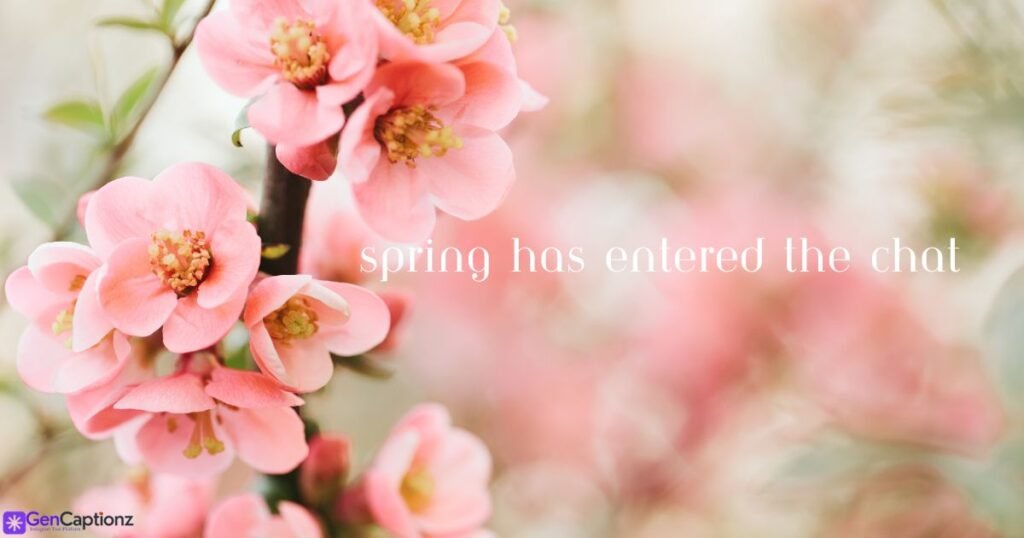 250+ Best Spring Captions for Instagram (Aesthetic & Trendy)