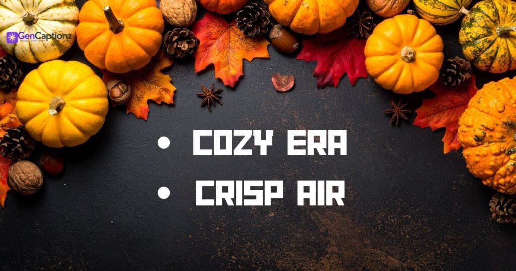 300+ Simple Fall Instagram Captions for Your Aesthetic Autumn Feed