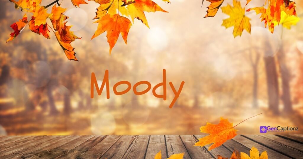 Cozy & Aesthetic One-Word Fall Captions