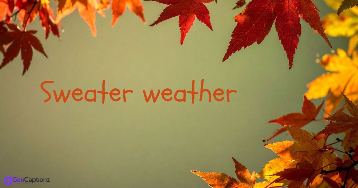 One-Word Fall Captions: 250+ Aesthetic Words for Autumn Posts