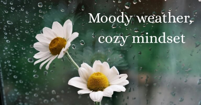 250+ Best Rain Captions for Instagram (Aesthetic, Cozy & Viral)